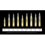 8x57 JS Sreen Ammo 140gr/9,1g SCR Sellier&Bellot 50ks